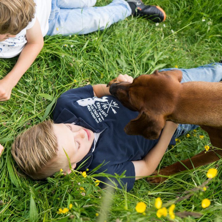 Lifestyle fotoshoot - Tygo, Owen en hun hond Derby